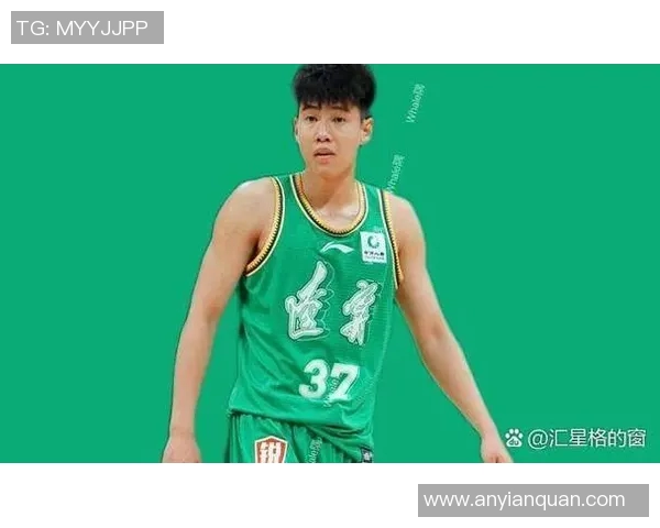 辽宁本钢掀起热议,球迷为球队加油助威